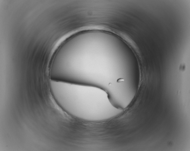 X0000113041380200908271455