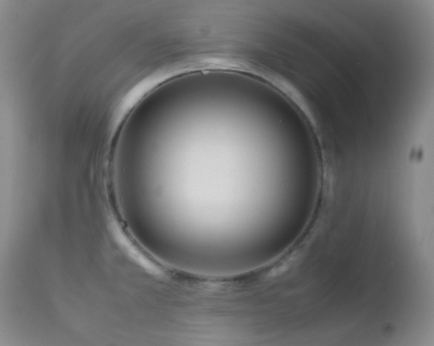 X0000113041381200908271455