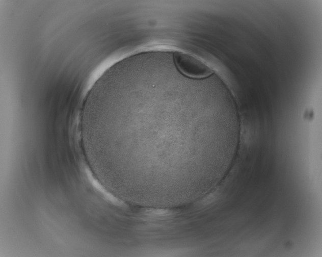 X0000113041382200908271455