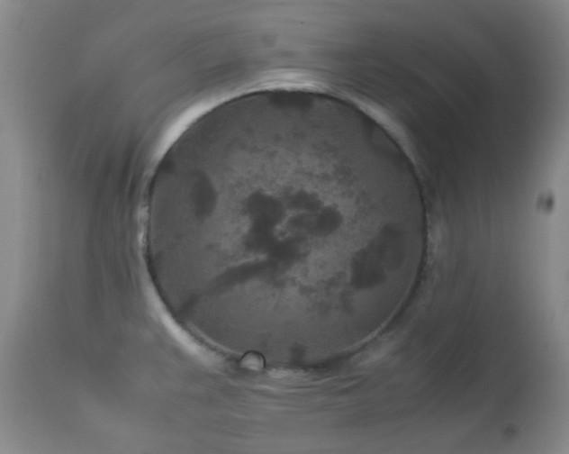 X0000113041383200908271455