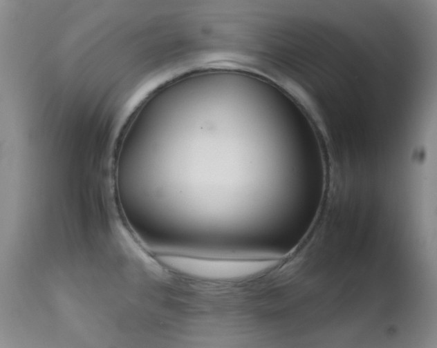 X0000113041384200908271455