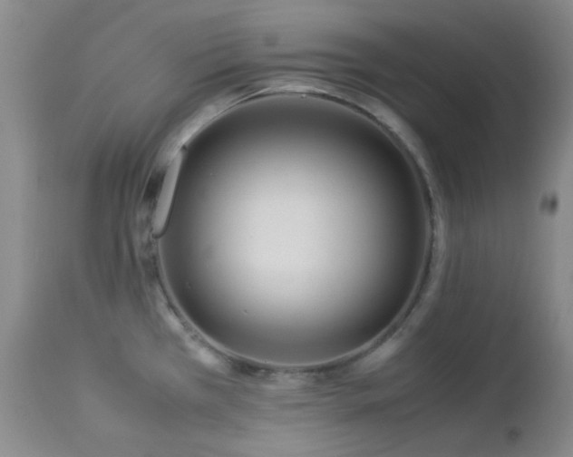 X0000113041385200908271455