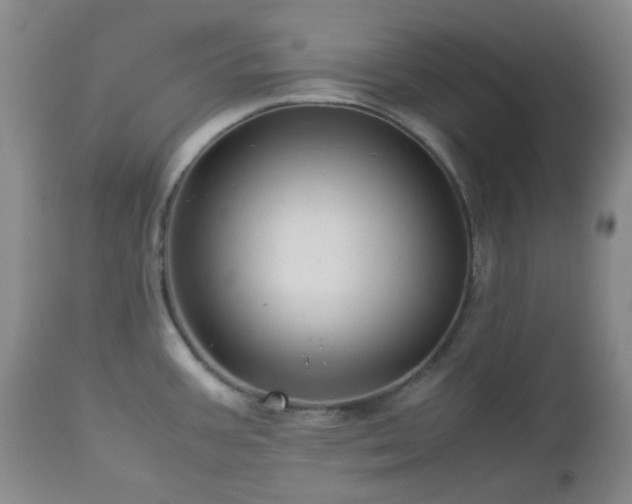 X0000113041387200908271455