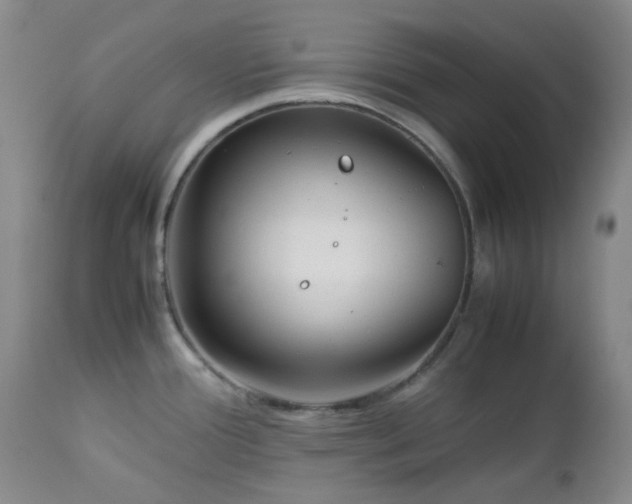X0000113041388200908271455