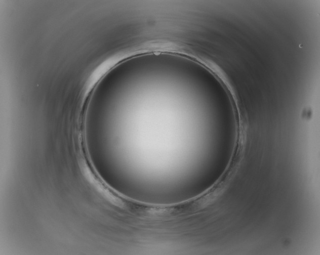 X0000113041389200908271455