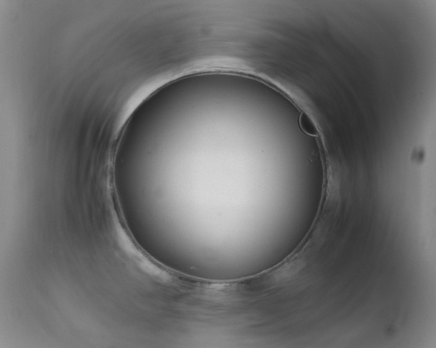 X0000113041390200908271455