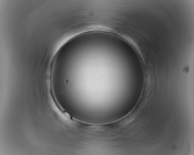 X0000113041391200908271455