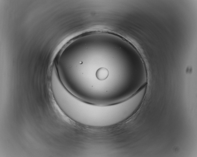 X0000113041392200908271455