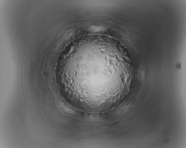 X0000113041393200908271454