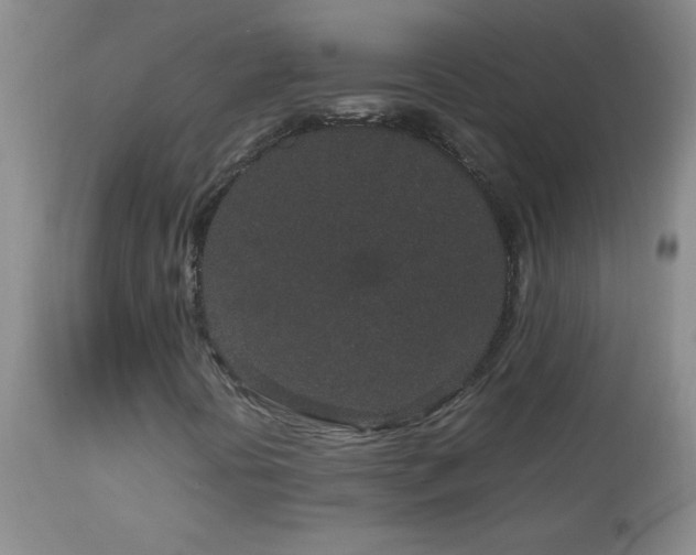 X0000113041394200908271454
