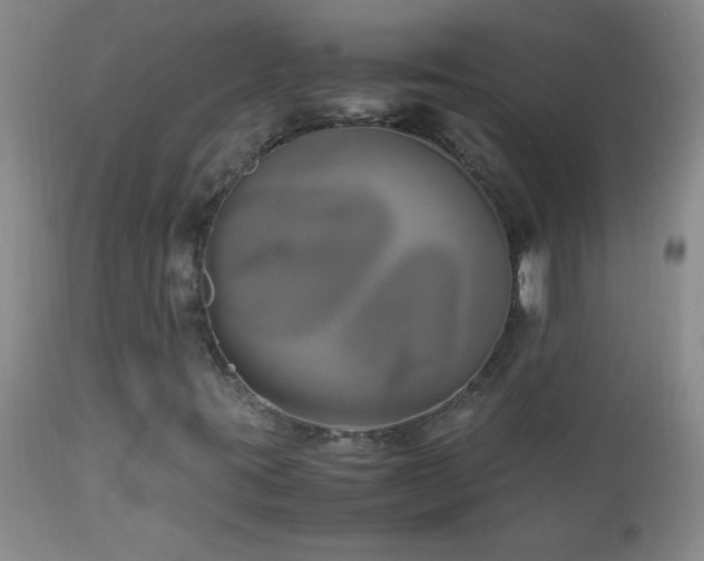 X0000113041395200908271454