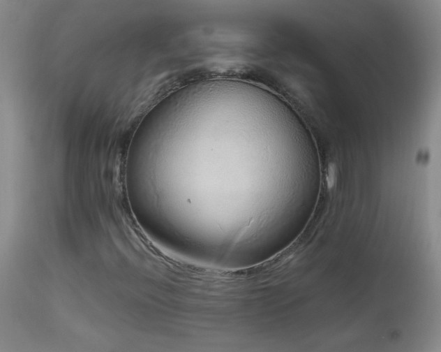 X0000113041396200908271454