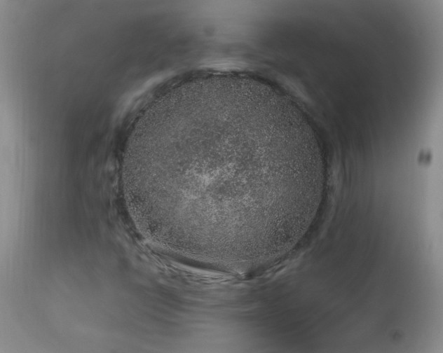 X0000113041398200908271454