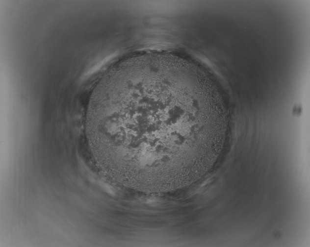 X0000113041399200908271454