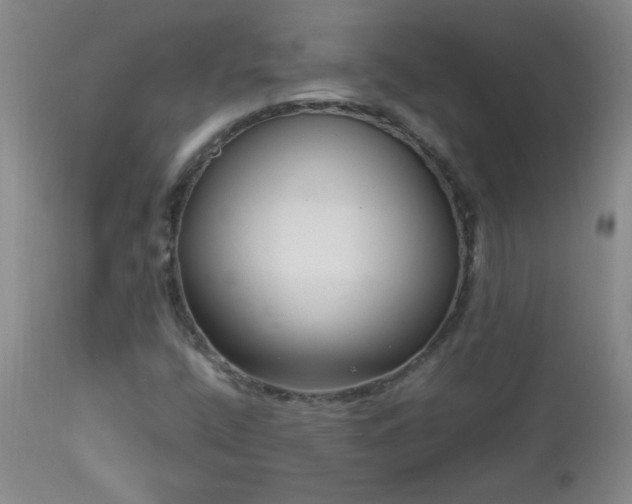 X0000113041400200908271454