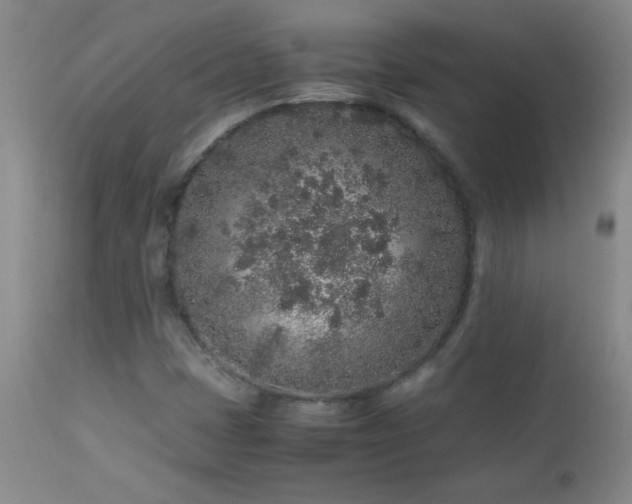 X0000113041401200908271454