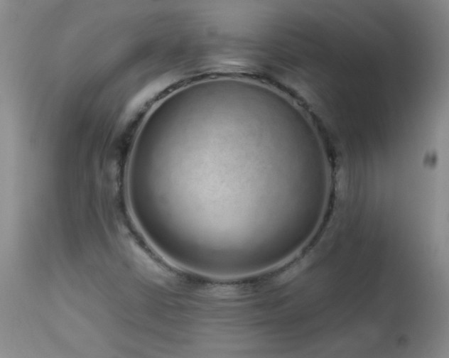 X0000113041402200908271454