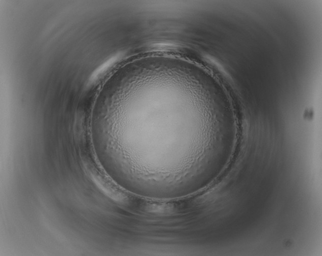X0000113041403200908271454