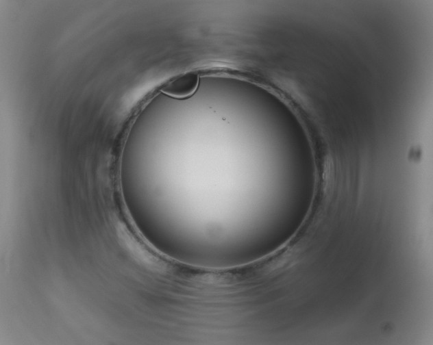 X0000113041404200908271454