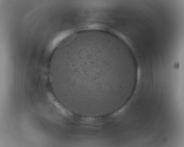 X0000113041405200908271454