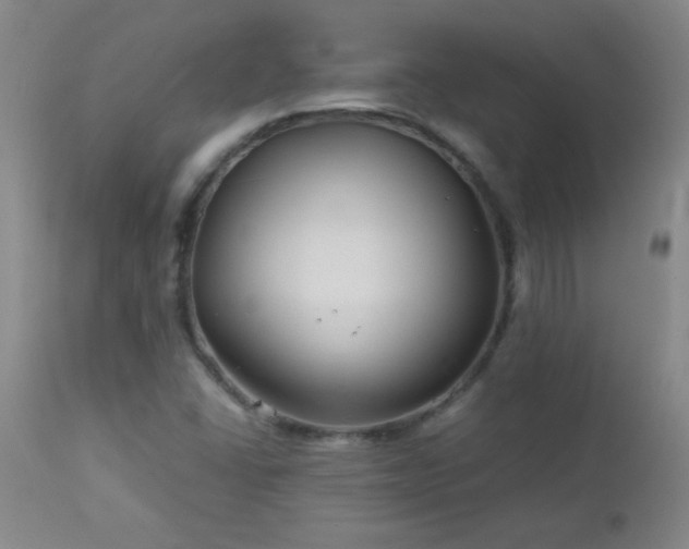 X0000113041406200908271454