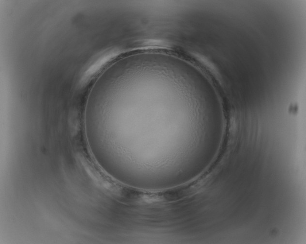 X0000113041407200908271454