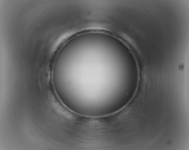 X0000113041408200908271454