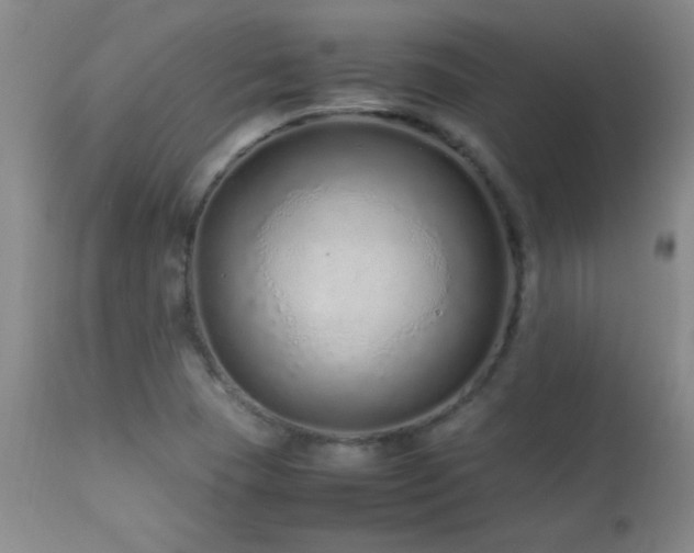 X0000113041409200908271454