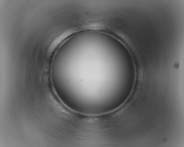 X0000113041410200908271454