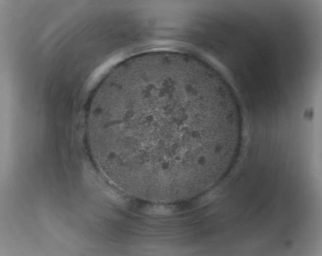 X0000113041411200908271454