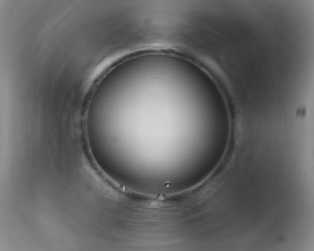 X0000113041412200908271454