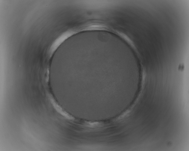X0000113041413200908271454