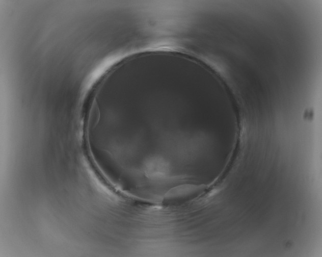 X0000113041414200908271454