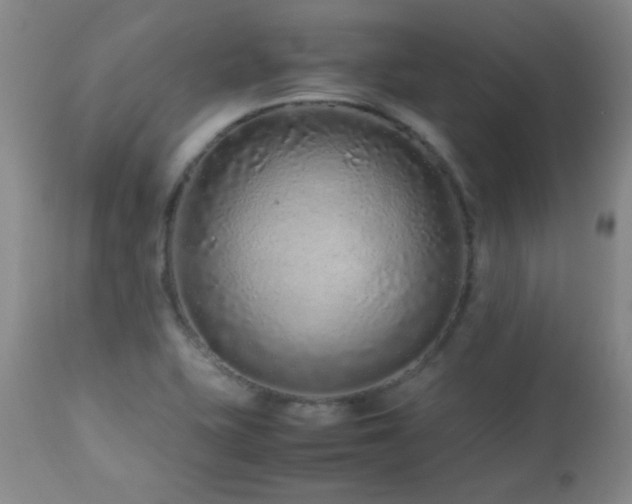 X0000113041415200908271454