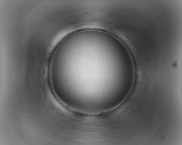 X0000113041416200908271454