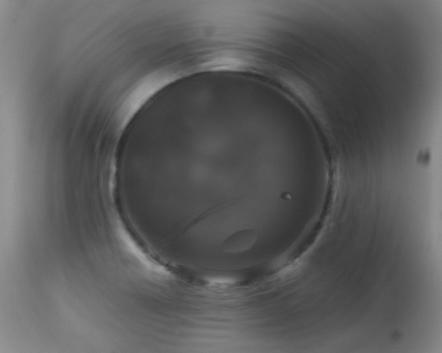 X0000113041418200908271454