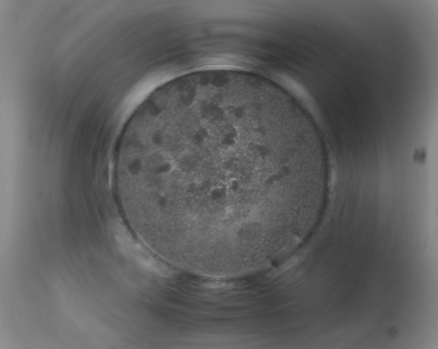 X0000113041419200908271454