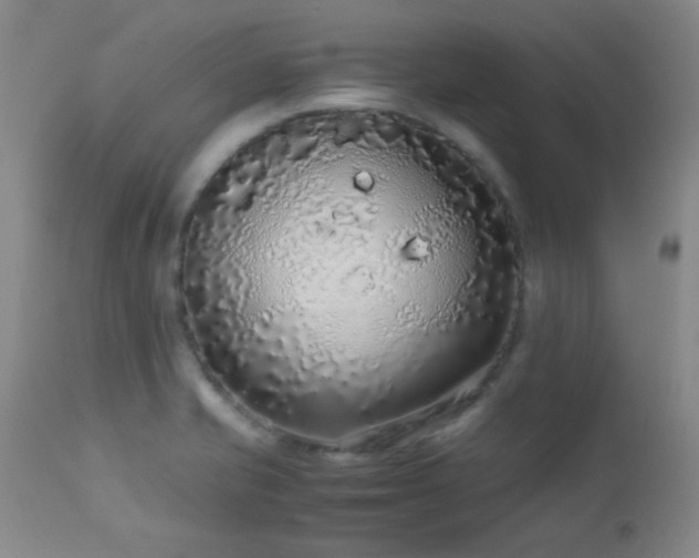 X0000113041421200908271454