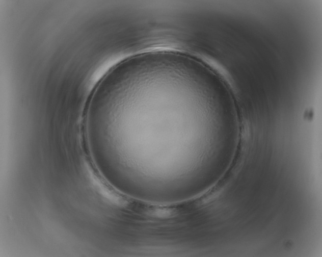 X0000113041423200908271454