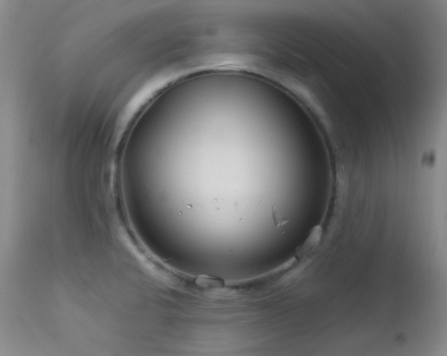 X0000113041424200908271454