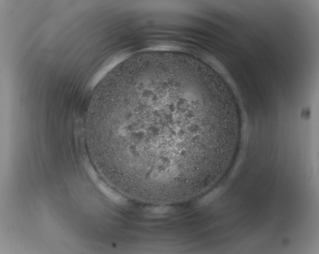 X0000113041425200908271454