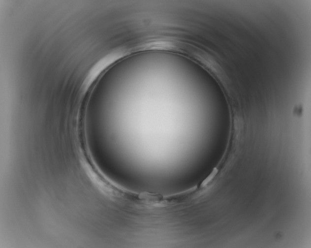 X0000113041426200908271454