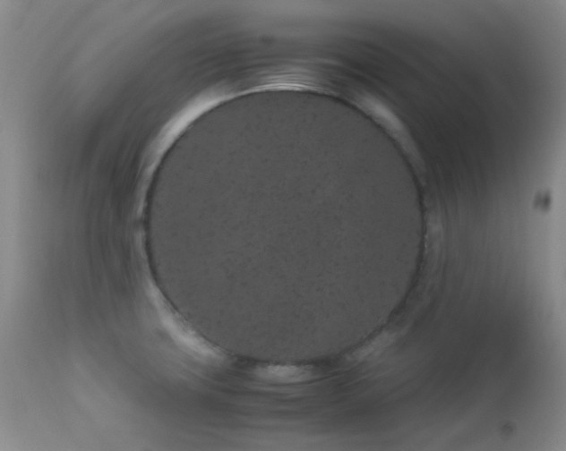 X0000113041427200908271454
