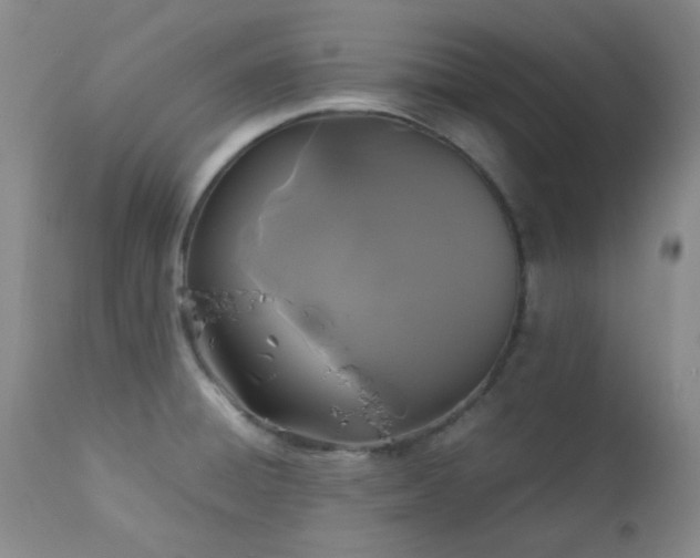 X0000113041428200908271454