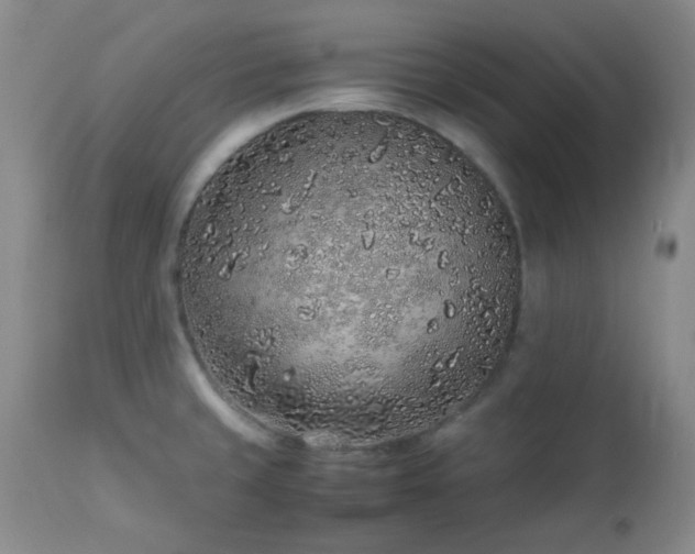 X0000113041429200908271454