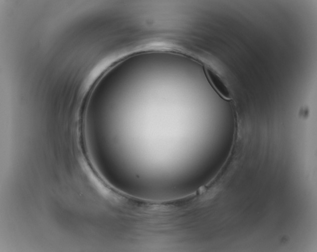 X0000113041430200908271454