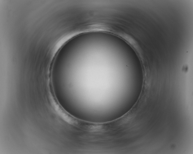 X0000113041431200908271454