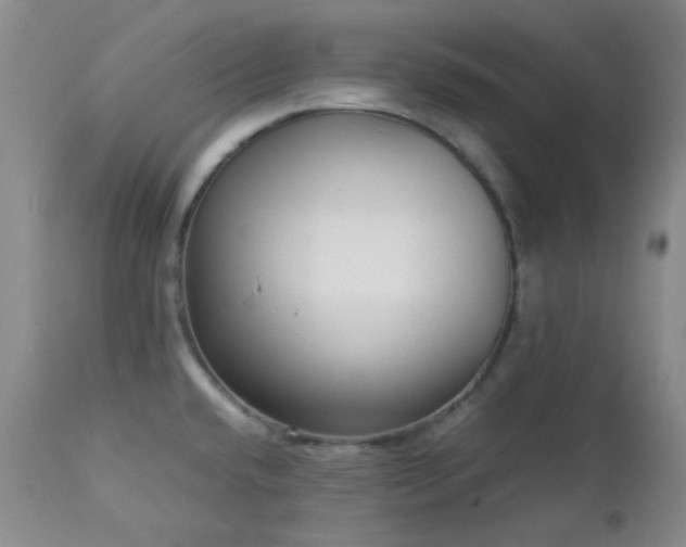 X0000113041432200908271454