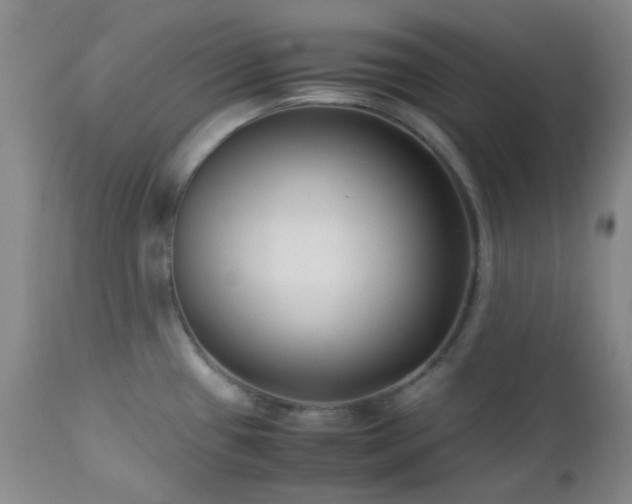 X0000113041433200908271454