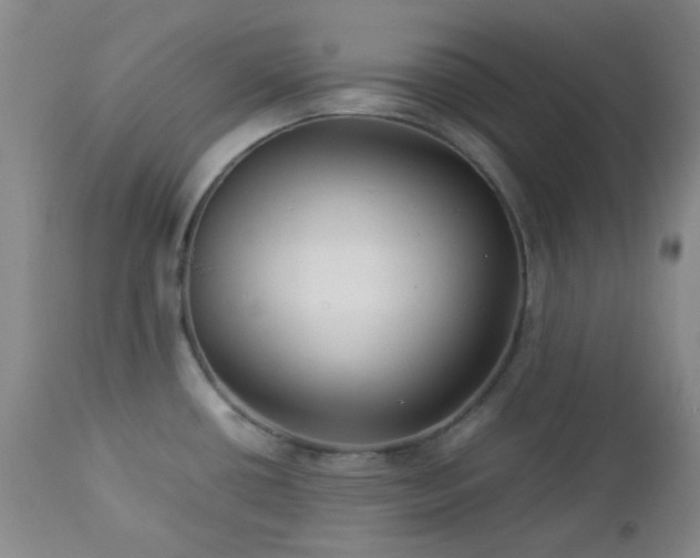 X0000113041434200908271454